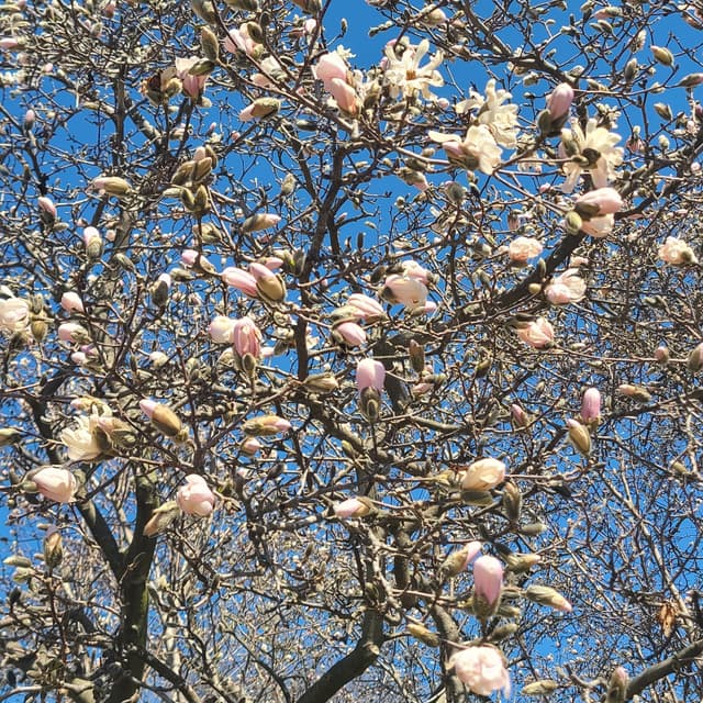 VIP Membership at Studio L in Lititz, PA